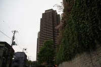 IMG_0121.JPG